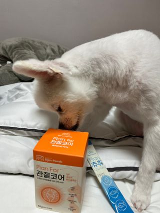 콩이예요님이 올린 리뷰 사진 3