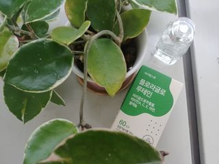 파아란님이 올린 리뷰 사진 4