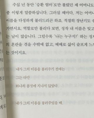 비앤포님이 올린 리뷰 사진 3