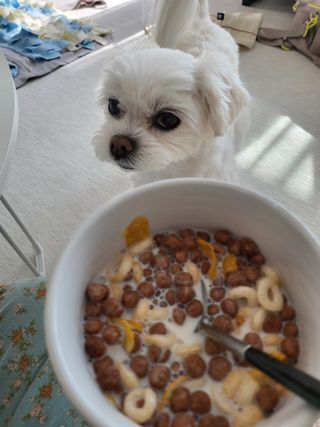 뽀오오옹님이 올린 리뷰 사진 4