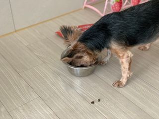 kkyubebe님이 올린 리뷰 사진 3