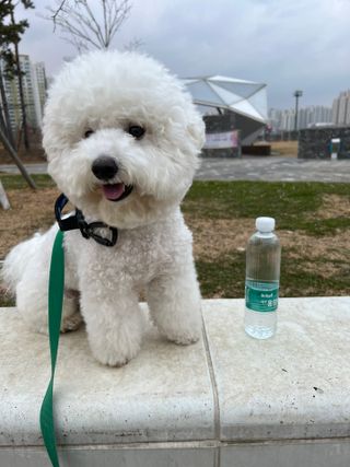 정민트님이 올린 리뷰 사진 1