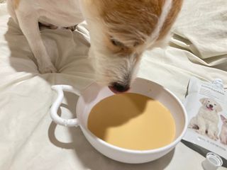 뚜블리님이 올린 리뷰 사진 2