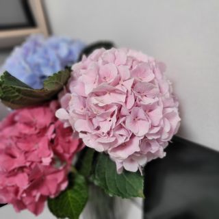 랑이님이 올린 리뷰 사진 2