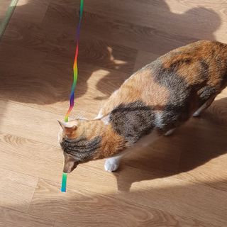ㅇ님이 올린 리뷰 사진 2