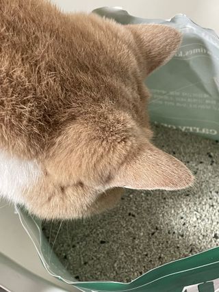 B님이 올린 리뷰 사진 2