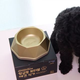 [세싹보울] 세균 싹~ 사라지는 셀앤핏 펫 항균동 애견식기 — 5점을 준 리뷰어가 2021년 6월 올린 사용 사진