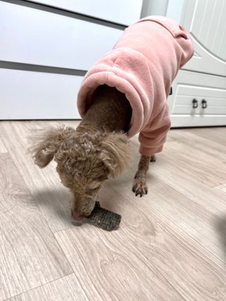 랑랑이1님이 올린 리뷰 사진 4