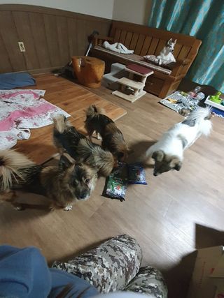 루비셀러님이 올린 리뷰 사진 4