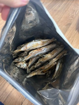 mijiny님이 올린 리뷰 사진 2