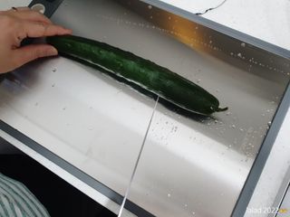 릴리랄라님이 올린 리뷰 사진 4