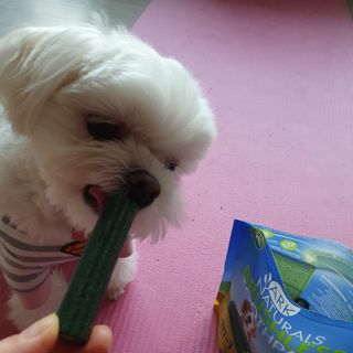 hosu.1230님이 올린 리뷰 사진 3