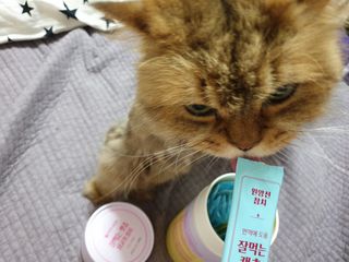 옹알이님이 올린 리뷰 사진 1