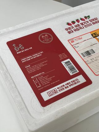 옳음 딸기 논산 설향 딸기 900g 산지직송 — 5점을 준 리뷰어가 2021년 1월 올린 사용 사진