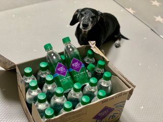 몽베스트 Montbest with Sparkling water Plain 20병 — 5점을 준 리뷰어가 2022년 9월 올린 사용 사진