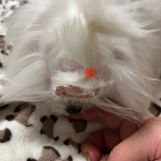 지아님이 올린 리뷰 사진 2
