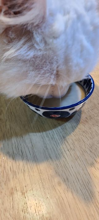 논지님이 올린 리뷰 사진 1