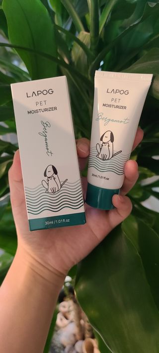 논지님이 올린 리뷰 사진 3