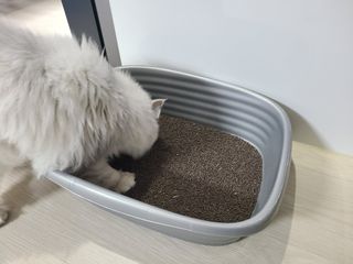 쏘이쏘이님이 올린 리뷰 사진 3