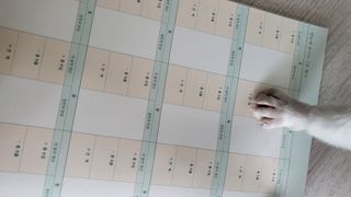 고롸고롸고롸님이 올린 리뷰 사진 4