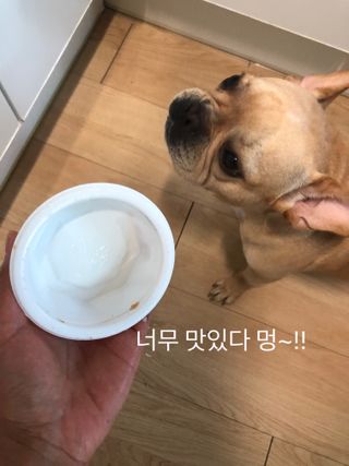 보노엄마님이 올린 리뷰 사진 3