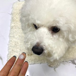 버츠비 케어플러스 릴리빙포앤노즈로션 — 5점을 준 리뷰어가 2021년 4월 올린 사용 사진