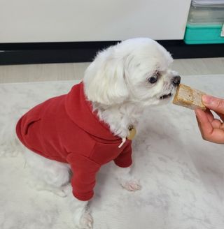 [졸리졸리] 애견 치즈스틱 (HORSE MILK CHEESE) — 3점을 준 리뷰어가 2023년 1월 올린 사용 사진