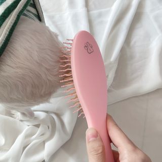 silvermoon님이 올린 리뷰 사진 2