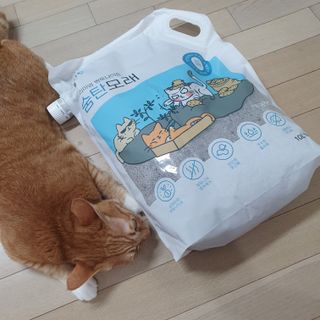 Dal님이 올린 리뷰 사진 2