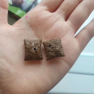 지으니님이 올린 리뷰 사진 2
