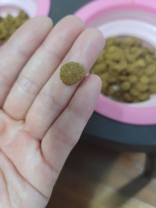 알건맘님이 올린 리뷰 사진 4