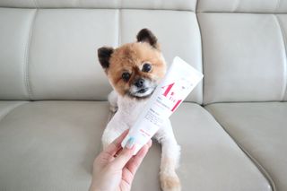 꿀냥이님이 올린 리뷰 사진 1