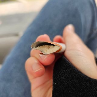 미미미미님이 올린 리뷰 사진 3