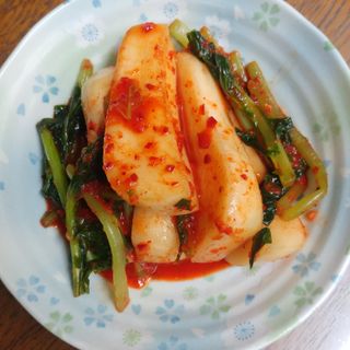 셰프애찬 알타리김치 총각김치 1kg — 5점을 준 리뷰어가 2022년 10월 올린 사용 사진