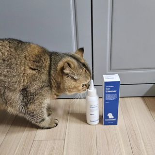 [댕모어 클리너 3종] 아이클리너 / 이어클리너 / 덴탈클리너 3종 세트 (120ml) — 5점을 준 리뷰어가 2023년 11월 올린 사용 사진