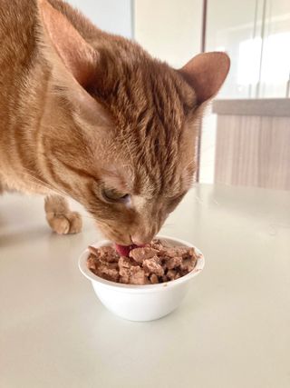 칸쵸동동님이 올린 리뷰 사진 1