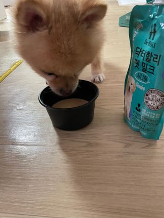 쿠키쿠님이 올린 리뷰 사진 3