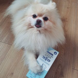 My Pet Care 장건강에 개좋아 — 4.5점을 준 리뷰어가 2021년 1월 올린 사용 사진