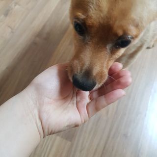 적구님이 올린 리뷰 사진 1