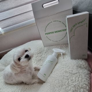 [푸푸몬스터](선물세트) 비건 펫 데오 스프레이(탈취제) 500ml (유향/무향 택 1)+산책 물통+메시지카드 — 5점을 준 리뷰어가 2022년 8월 올린 사용 사진