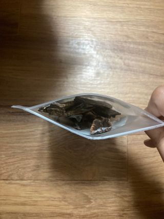 민트초코님이 올린 리뷰 사진 4