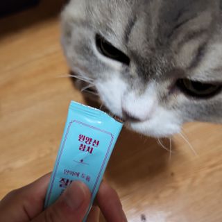 소이양님이 올린 리뷰 사진 2