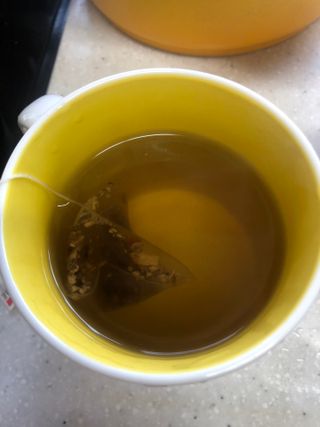 쓰담쓰담님이 올린 리뷰 사진 1