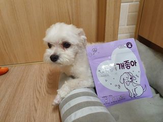 My Pet Care 천연단백질 치아건강에 개좋아 — 5점을 준 리뷰어가 2021년 1월 올린 사용 사진
