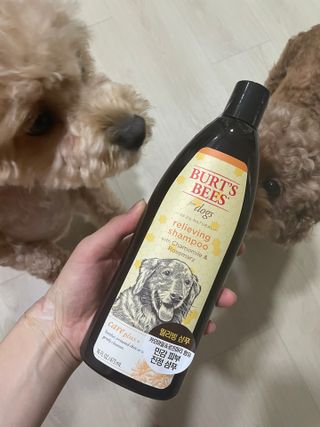 숙블리님이 올린 리뷰 사진 1