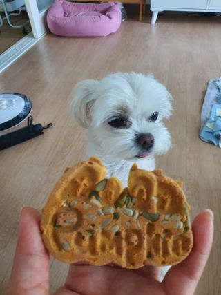 뽀오오옹님이 올린 리뷰 사진 3