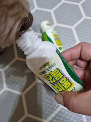 진쓰님이 올린 리뷰 사진 4