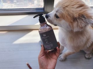 마리앤루이펫샴푸 [mari and louie pet shampoo] — 5점을 준 리뷰어가 2021년 5월 올린 사용 사진
