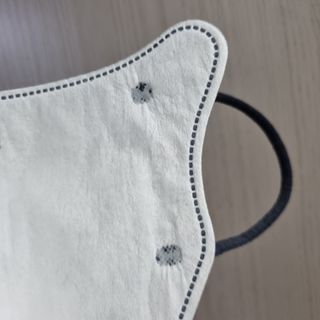 애니가드 셋업마스크 4컬러 각 10매입 [크리미베이지, 캐시미어로즈, 초콜렛브라운, 미드나잇네이비] — 5점을 준 리뷰어가 2022년 2월 올린 사용 사진