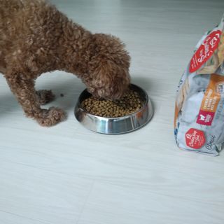 복깨비님이 올린 리뷰 사진 1